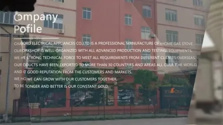 高品質グッドファイア ブルーフレーム 4バーナー テーブルガスストーブ (YG)